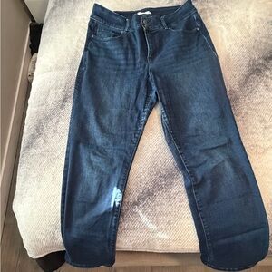 Lane Bryant woman’s Dark Blue Relaxed Jeans